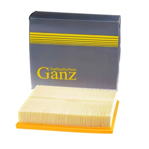 GANZ Фильтр воздушный GIR04155 (C30171)