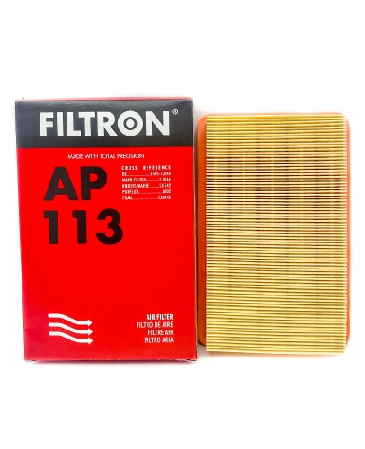 Фильтр воздушный FILTRON AP113 (C2666)