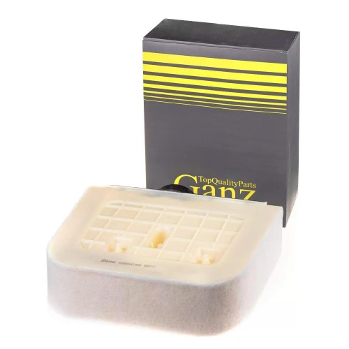 GANZ Фильтр воздушный GIR04258 (C38011)