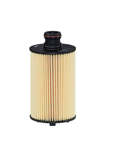 Фильтр масляный FILTRON OE610/1 (SSANGYONG 6711803009)