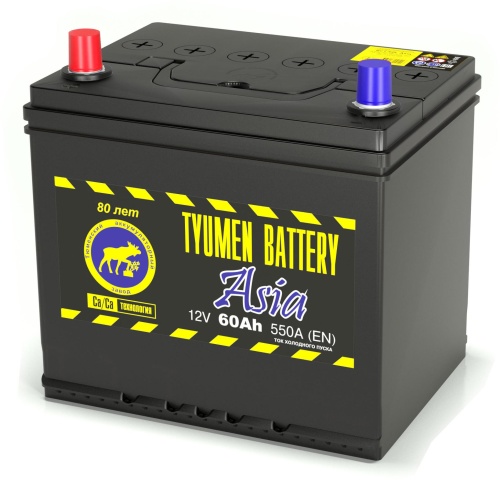 Аккумулятор Tyumen Battery ASIA 60Ah 550A (борт)  пр. пол. (+ -) 232x173x225