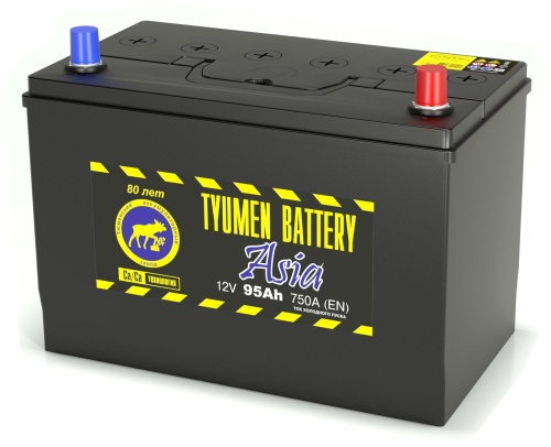 Аккумулятор Tyumen Battery ASIA 95Ah 750A (борт)  об. пол. (- +) 306x175x225