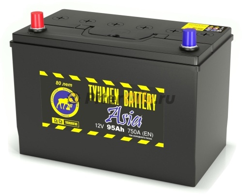 Аккумулятор Tyumen Battery ASIA 95Ah 750A (борт)  пр. пол. (+ -) 306x175x225