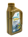 Petronas Syntium 5000 DM 5W30 (1л) 70957E18EU