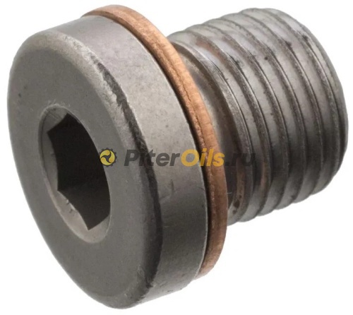 VAG Пробка резьбовая с прокладкой (M10x1x10) N90281802