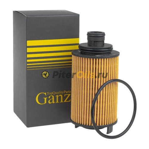 GANZ Фильтр масляный GIR01259 (HU6027z) Chery Tiggo T11 FL 13-, Chery Tiggo 3 18 E4G16-1012040  