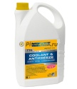Ravenol Антифриз -65С (5л) желтый