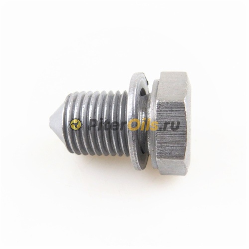 VAG Пробка сливная N90813202 (48871, 15374)