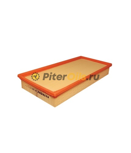 Фильтр воздушный FILTRON AP004/3 (C39219, C39002, C39201)