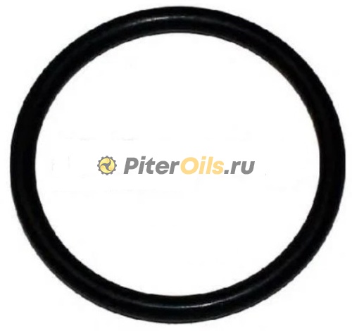 JP Group Прокладка термостата 1514650200