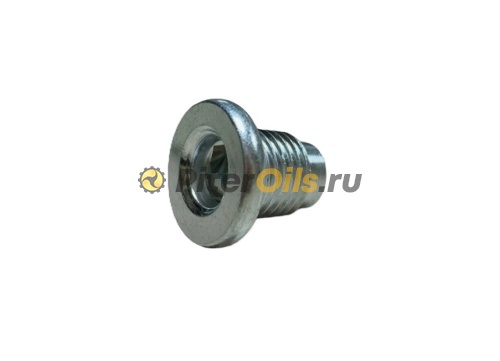 MAZDA  Болт сливной FS5021249