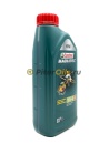 Castrol Magnatec 10w40 A3/B4 (1л) 15CA23